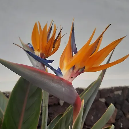 Nyaraló La Belle Vie