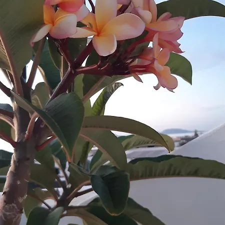 Nyaraló La Belle Vie *