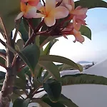 Vakantiehuis La Belle Vie *
