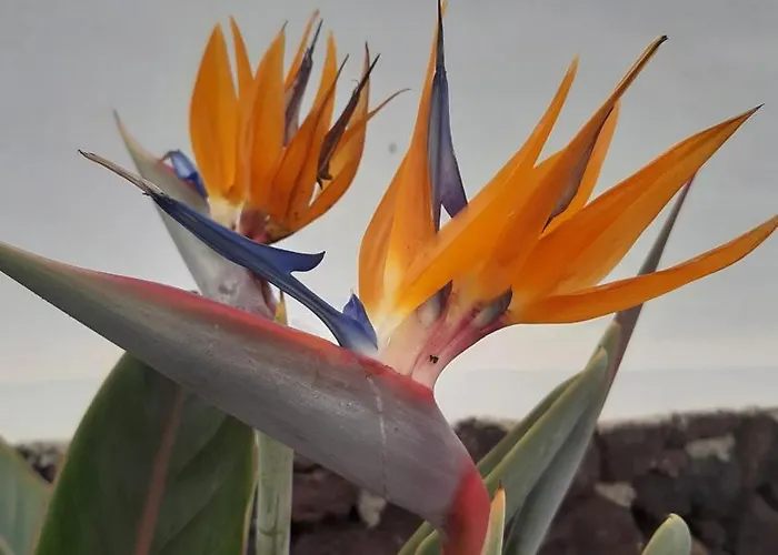 Holiday home La Belle Vie