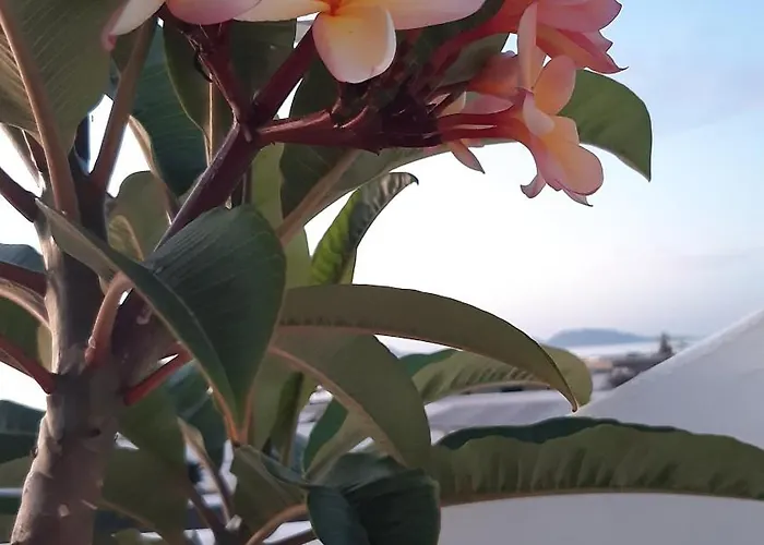 度假居 La Belle Vie *